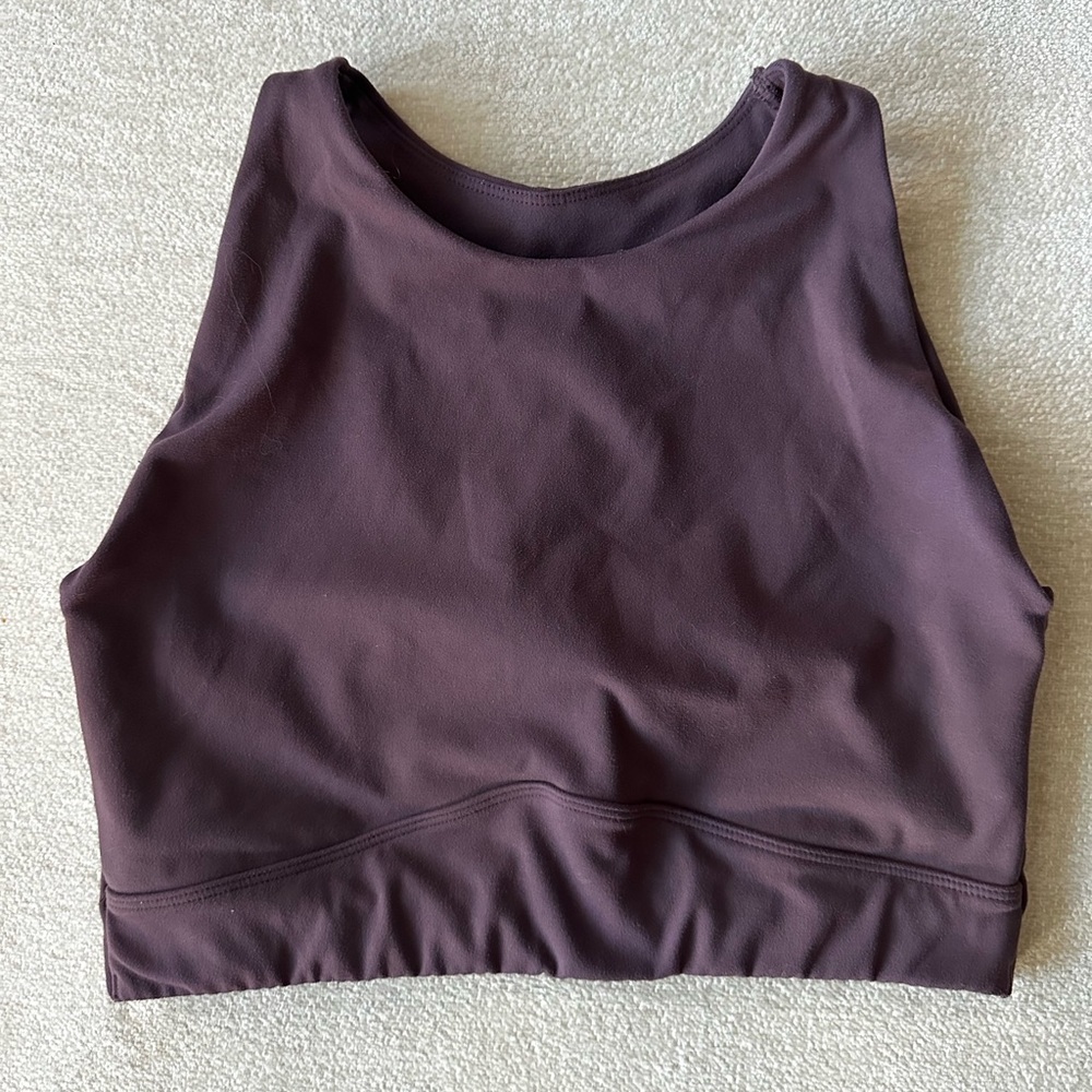 Alphalete Alphalux Purple Sports Bra